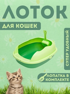 Салатовый