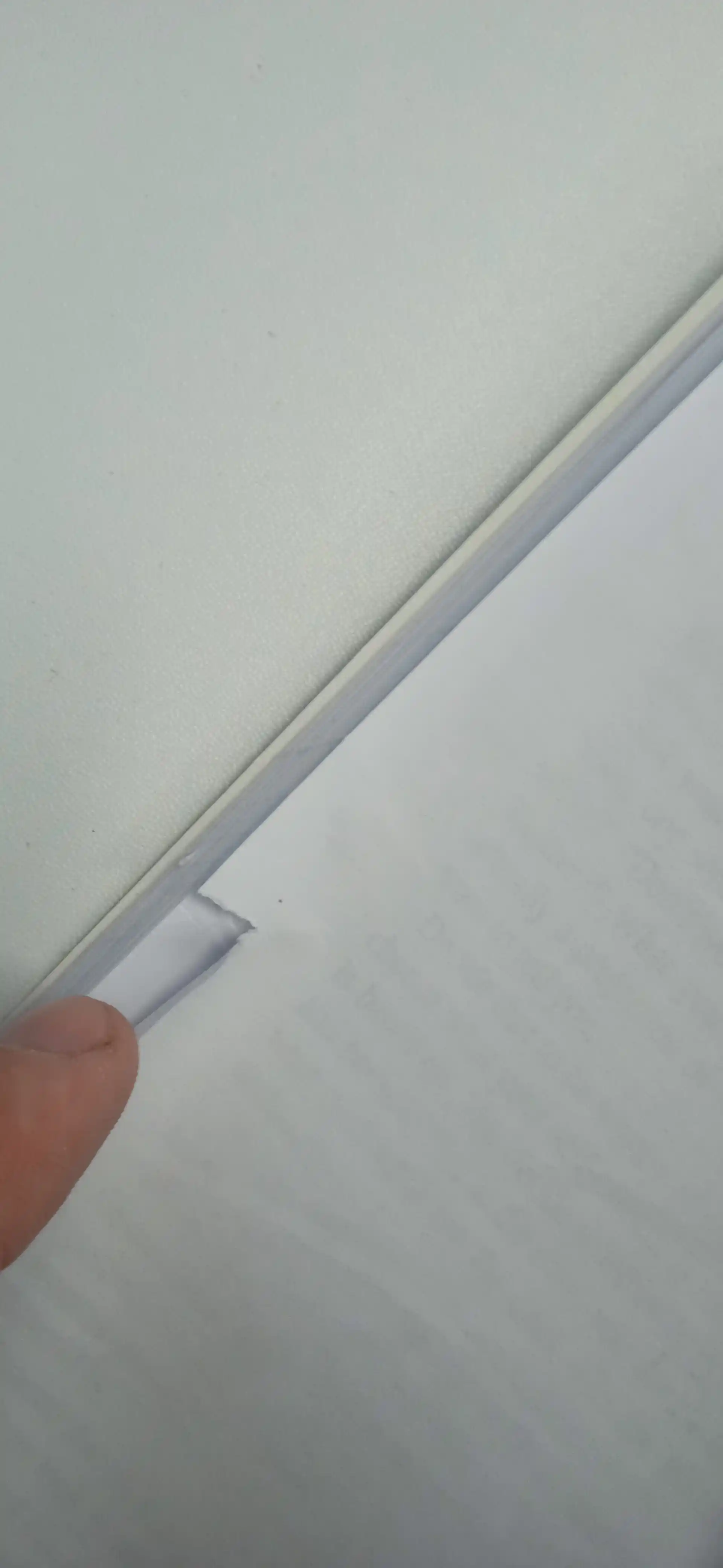 101 Essays That Will Change The Way You Think, Briana Wiest