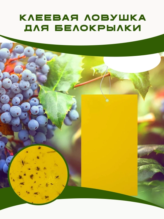 Ловушка клеевая для выявления и отлова белокрылки, 4 шт