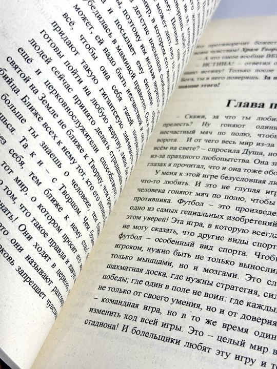 Книга Конституция мира Книга первая Явление.  В мягком переплете