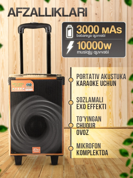 Portativ kalonkalar karaoke, Bluetooth kalonka mikrafon, masofadan boshqarish pulti