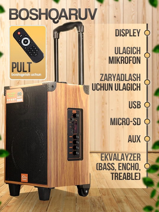 Portativ kalonkalar karaoke, Bluetooth kalonka mikrafon, masofadan boshqarish pulti