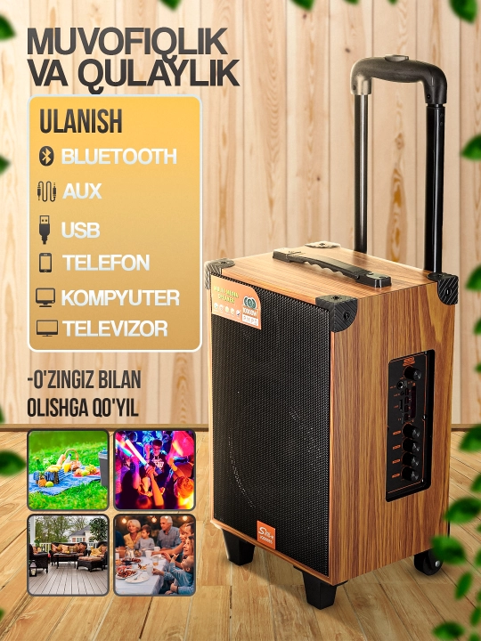 Portativ kalonkalar karaoke, Bluetooth kalonka mikrafon, masofadan boshqarish pulti