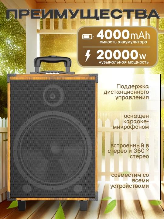 Portativ kalonkalar karaoke, Bluetooth kalonka mikrafon, masofadan boshqarish pulti