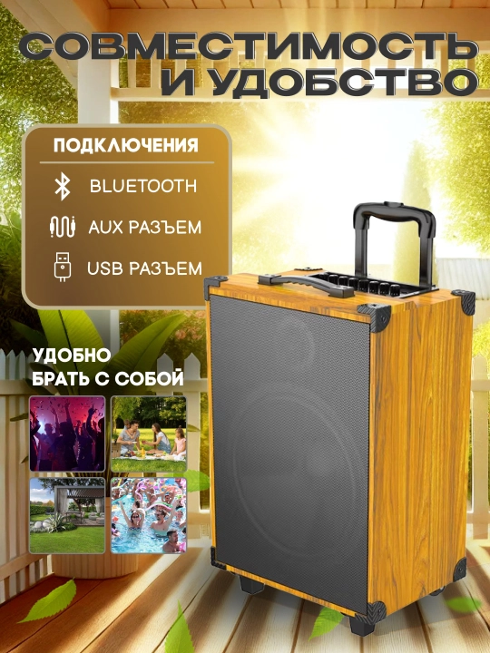 Portativ kalonkalar karaoke, Bluetooth kalonka mikrafon, masofadan boshqarish pulti