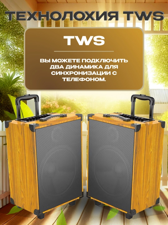 Portativ kalonkalar karaoke, Bluetooth kalonka mikrafon, masofadan boshqarish pulti