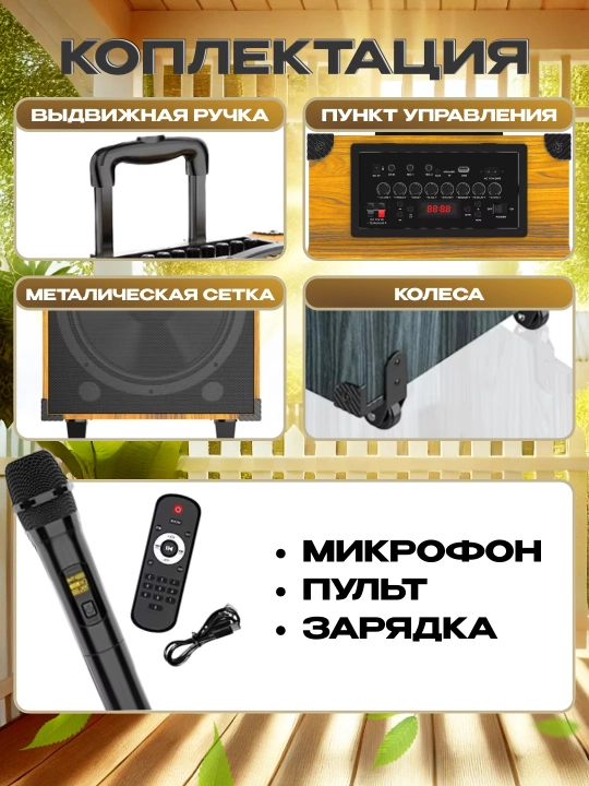 Portativ kalonkalar karaoke, Bluetooth kalonka mikrafon, masofadan boshqarish pulti