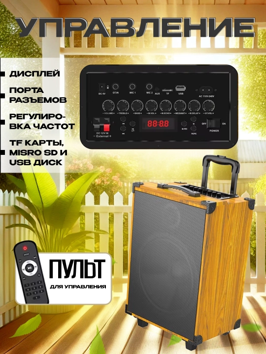 Portativ kalonkalar karaoke, Bluetooth kalonka mikrafon, masofadan boshqarish pulti