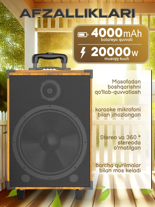 Portativ kalonkalar karaoke, Bluetooth kalonka mikrafon, masofadan boshqarish pulti