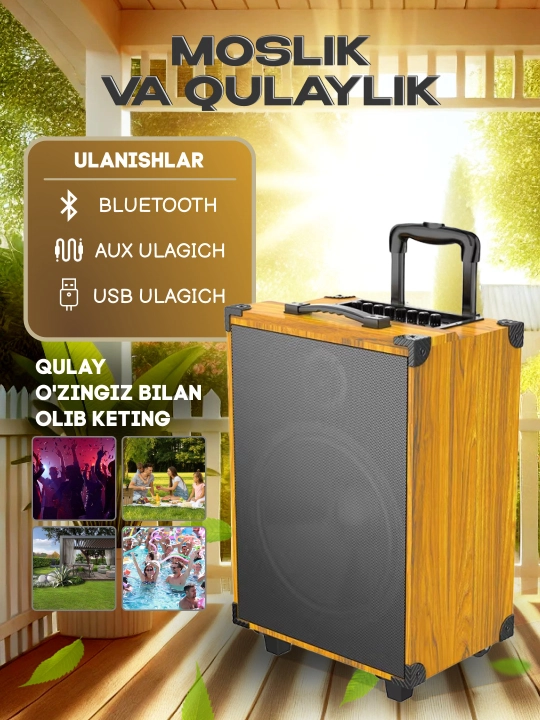 Portativ kalonkalar karaoke, Bluetooth kalonka mikrafon, masofadan boshqarish pulti