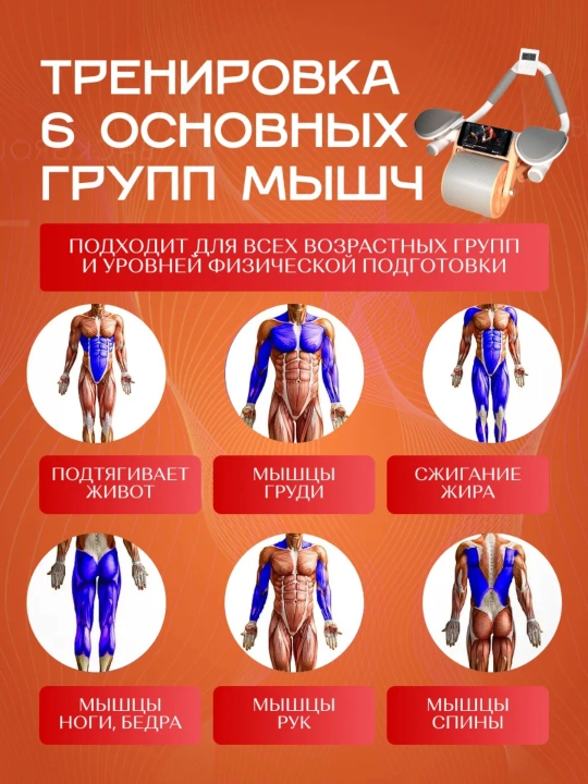 Ролик для пресса с возвратным механизмом — тренажёр для занятий дома