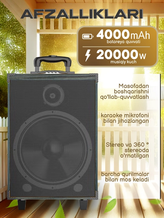 Portativ kalonkalar karaoke, Bluetooth kalonka mikrafon, masofadan boshqarish pulti