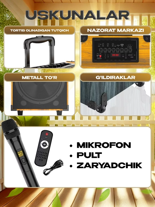 Portativ kalonkalar karaoke, Bluetooth kalonka mikrafon, masofadan boshqarish pulti