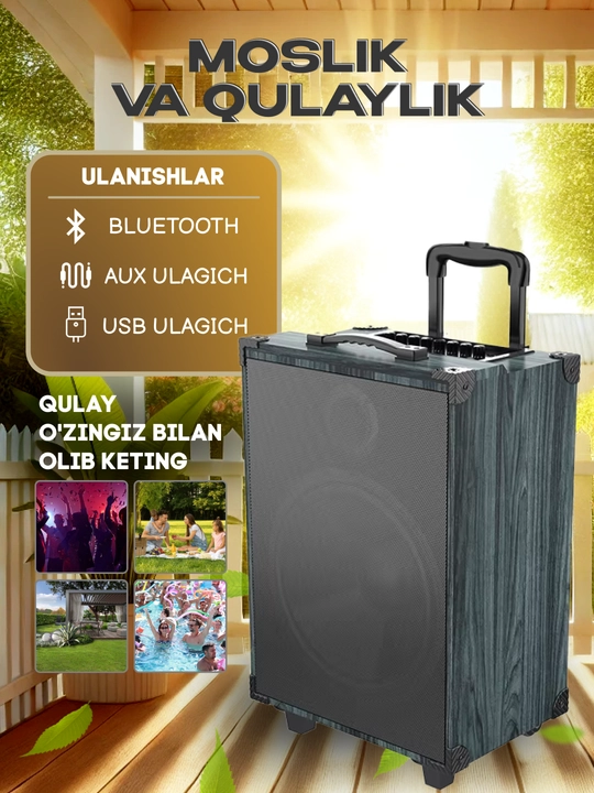 Portativ kalonkalar karaoke, Bluetooth kalonka mikrafon, masofadan boshqarish pulti