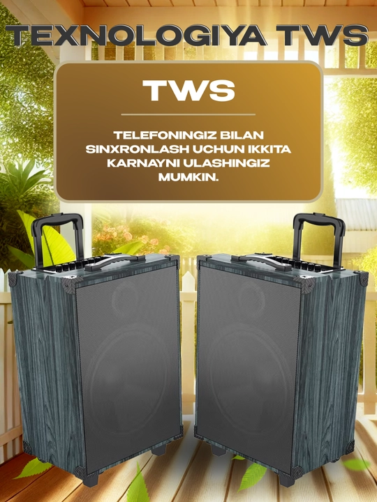 Portativ kalonkalar karaoke, Bluetooth kalonka mikrafon, masofadan boshqarish pulti