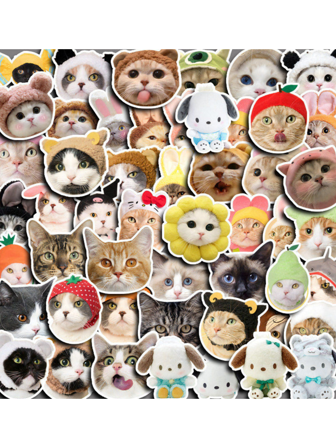 Obektlar bilan guruh jinsiy porno Pichoqli qurolli qizlar erotikasi