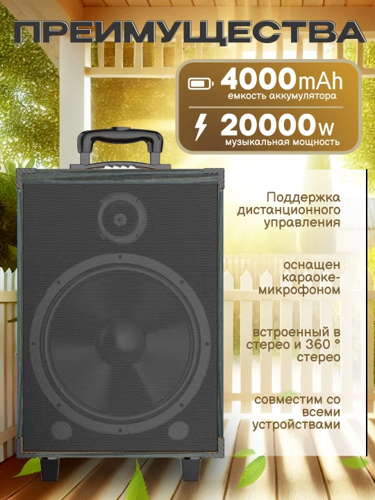 Portativ kalonkalar karaoke, Bluetooth kalonka mikrafon, masofadan boshqarish pulti