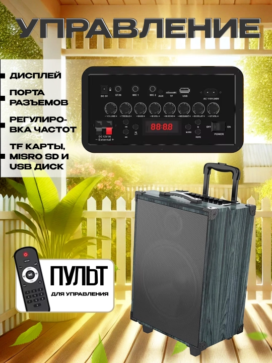 Portativ kalonkalar karaoke, Bluetooth kalonka mikrafon, masofadan boshqarish pulti
