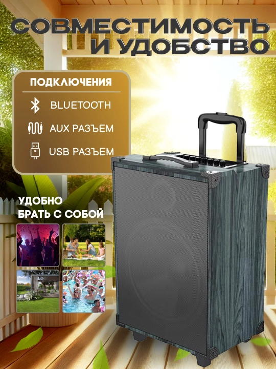 Portativ kalonkalar karaoke, Bluetooth kalonka mikrafon, masofadan boshqarish pulti