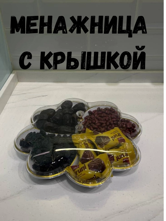 Qopqoqli menager, xurmo va quritilgan mevalar uchun idish, plastik