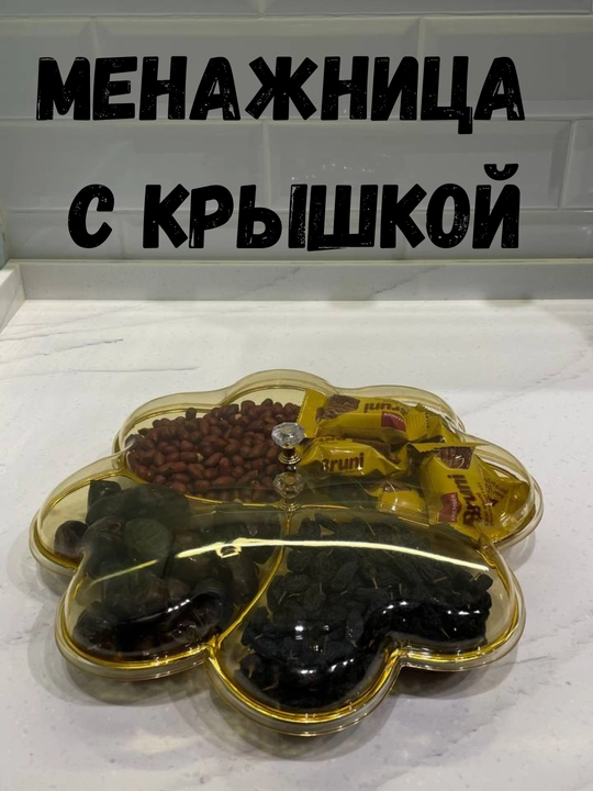 Qopqoqli menager, xurmo va quritilgan mevalar uchun idish, plastik