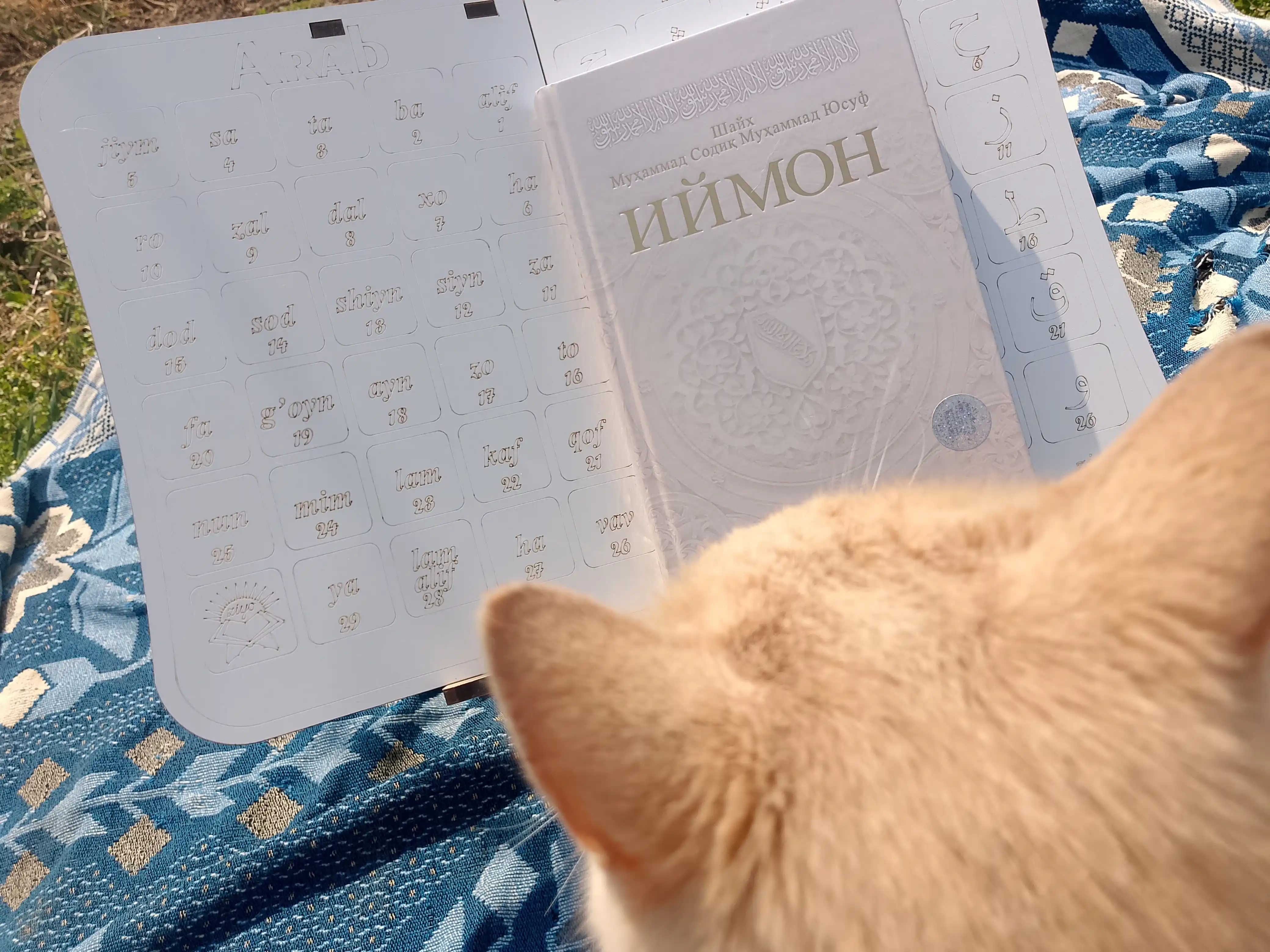 Книга Иймон , Шайх Мухаммад Содик Мухаммад Юсуф