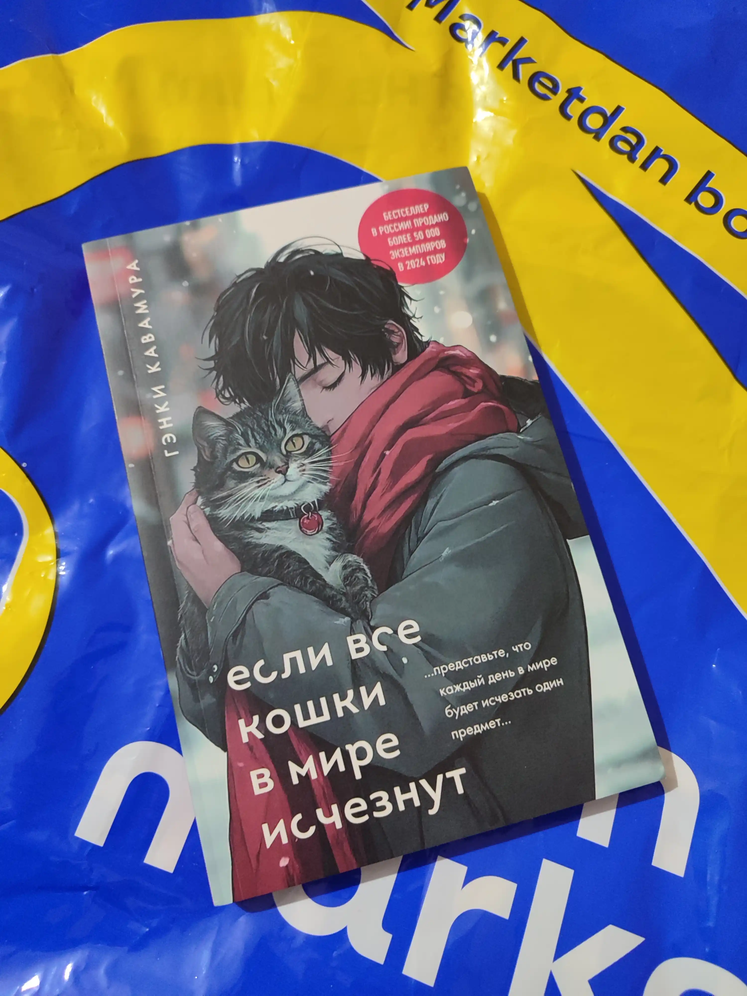 Если все кошки в мире исчезнут, Гэнки Кавамура