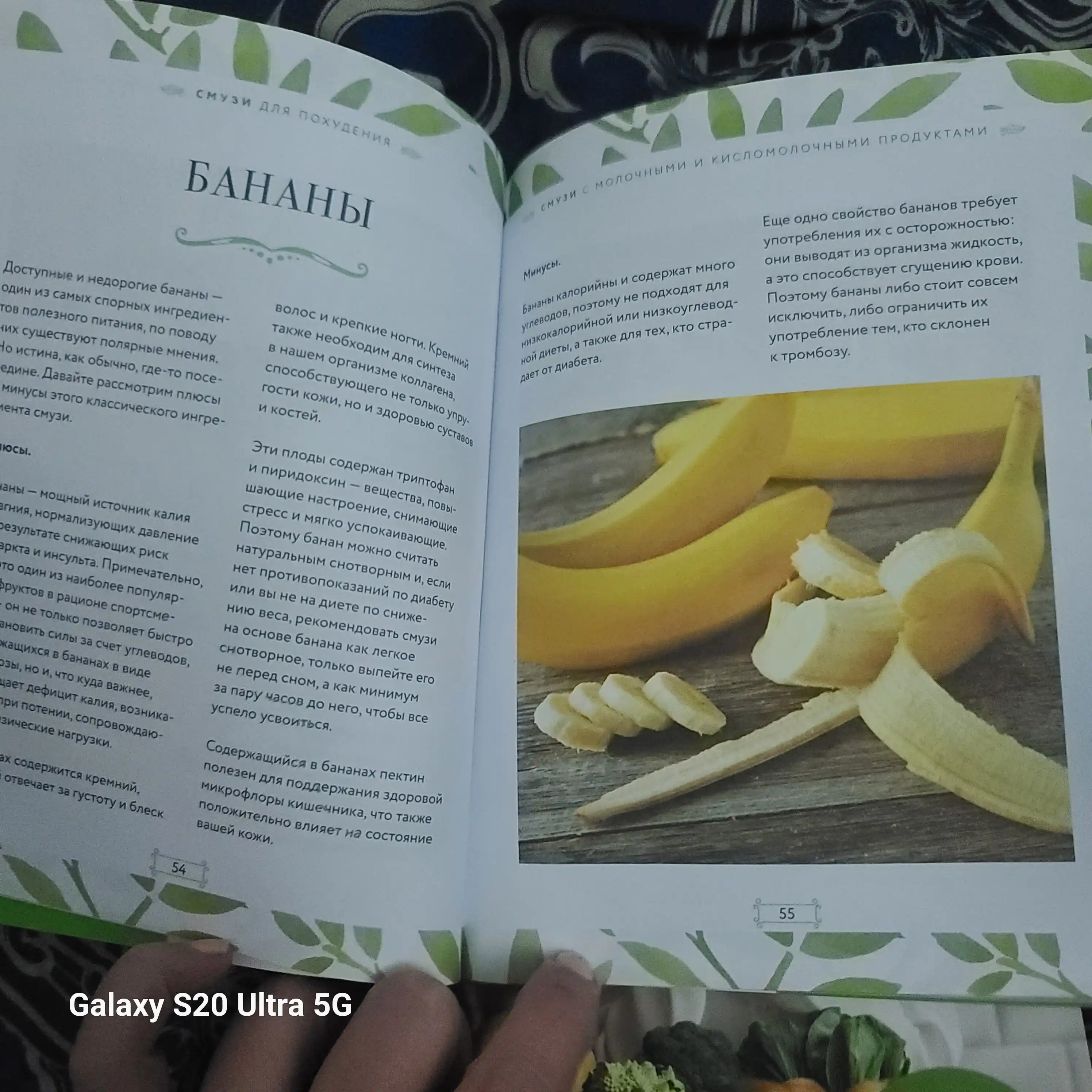 Smuzi i kokteyli dlya pokhudeniya, Kitob