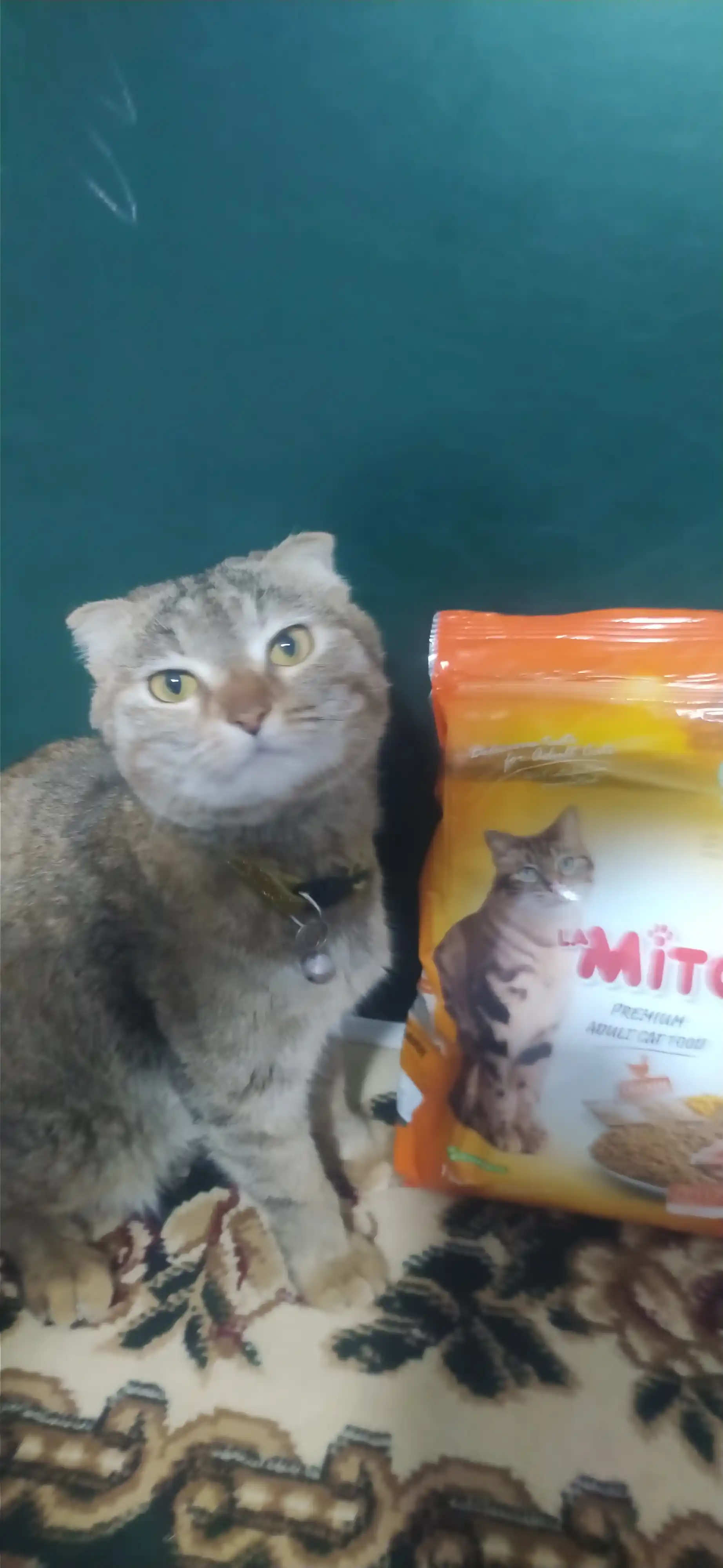 Mito mushuklar uchun quruq yem, tovuq go‘shti bilan, 1 kg