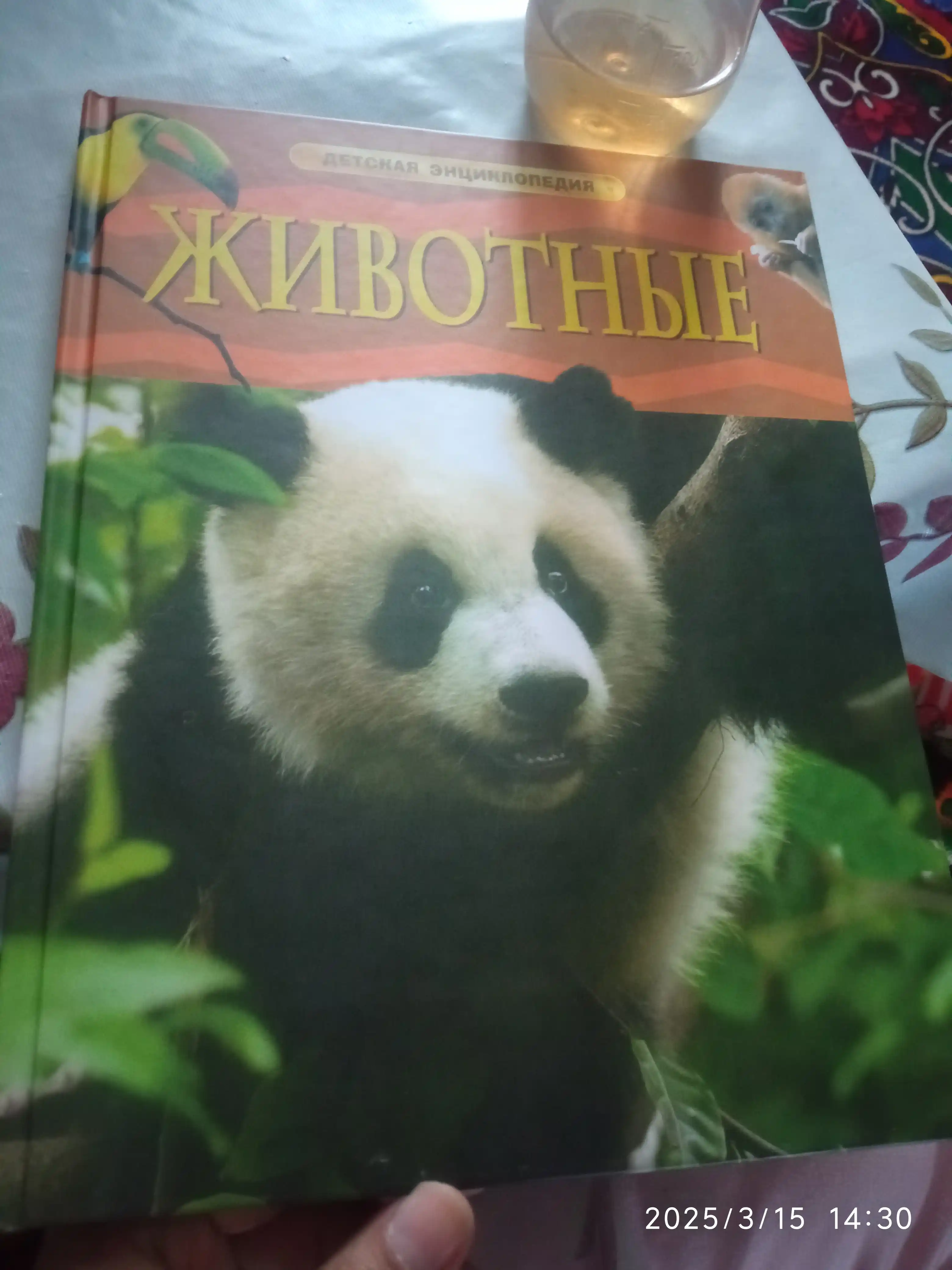 Детская энциклопедия школьника
