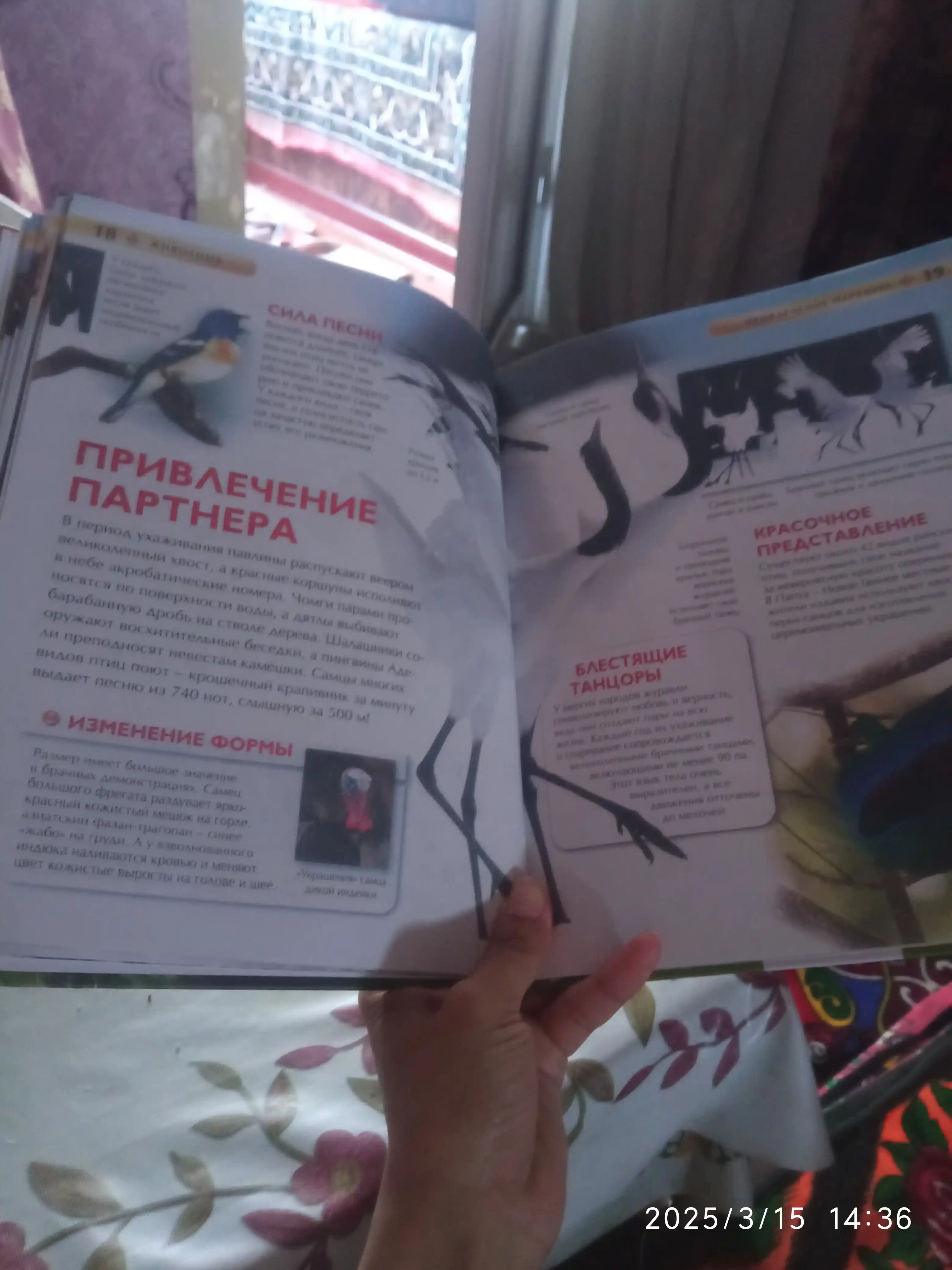 Детская энциклопедия школьника