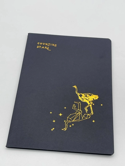 Тетрадь с черными листами,A4,30л — KANSTUZ-QORAQIZ