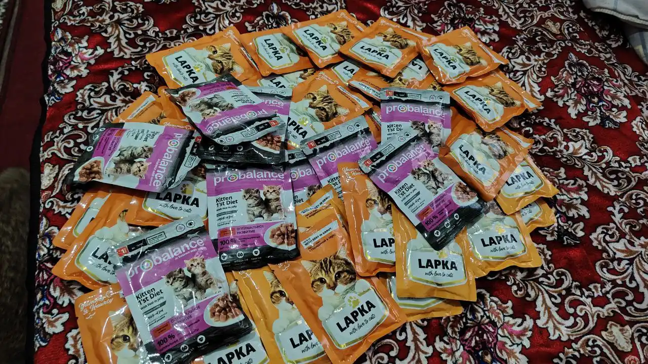 Lapka mushuklar uchun nam yem, sousdagi mol go'shti bilan, 85 gr 28 dona
