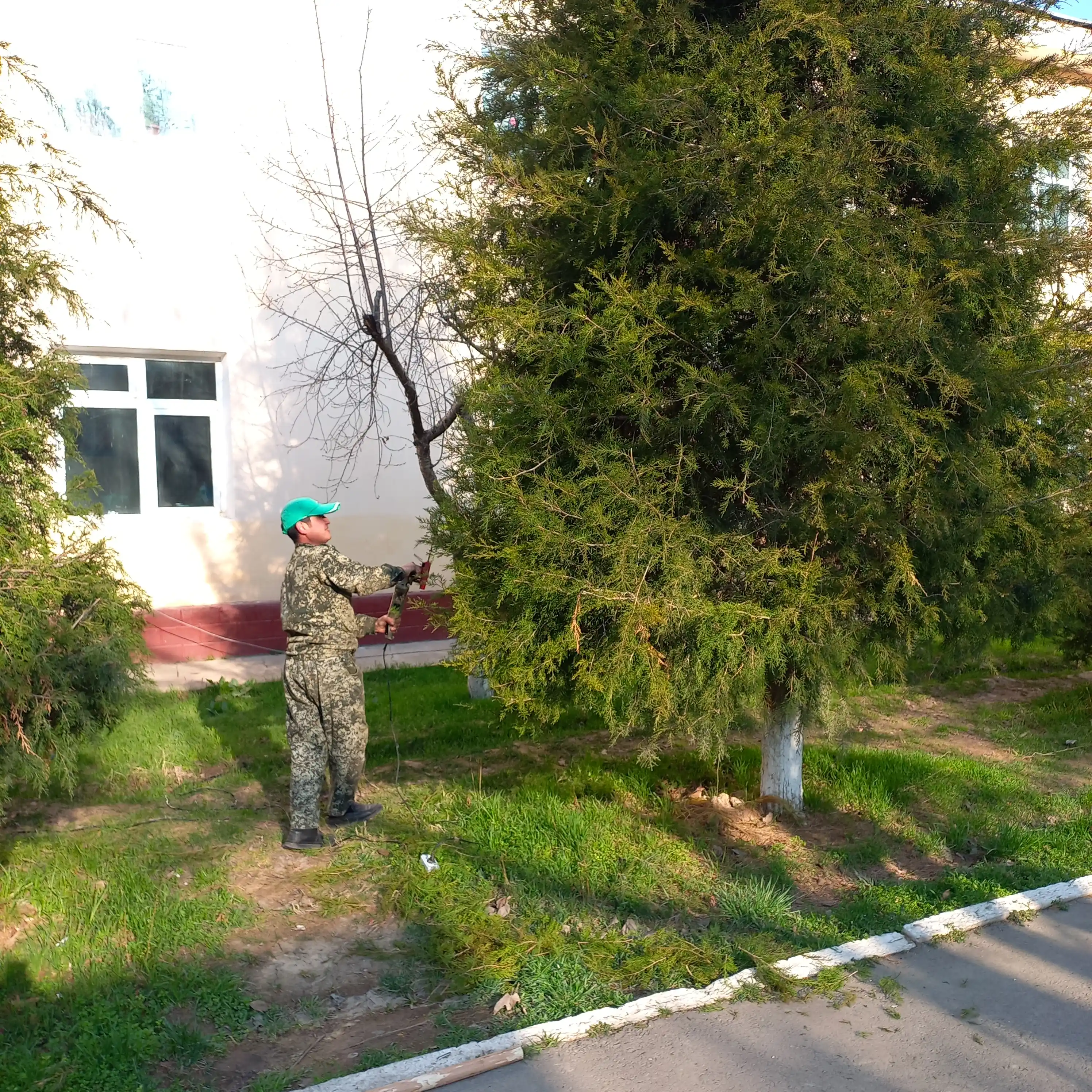 Qaychi UQM nasadkasi Buta-kesuvchi, NUMBER ONE TD16