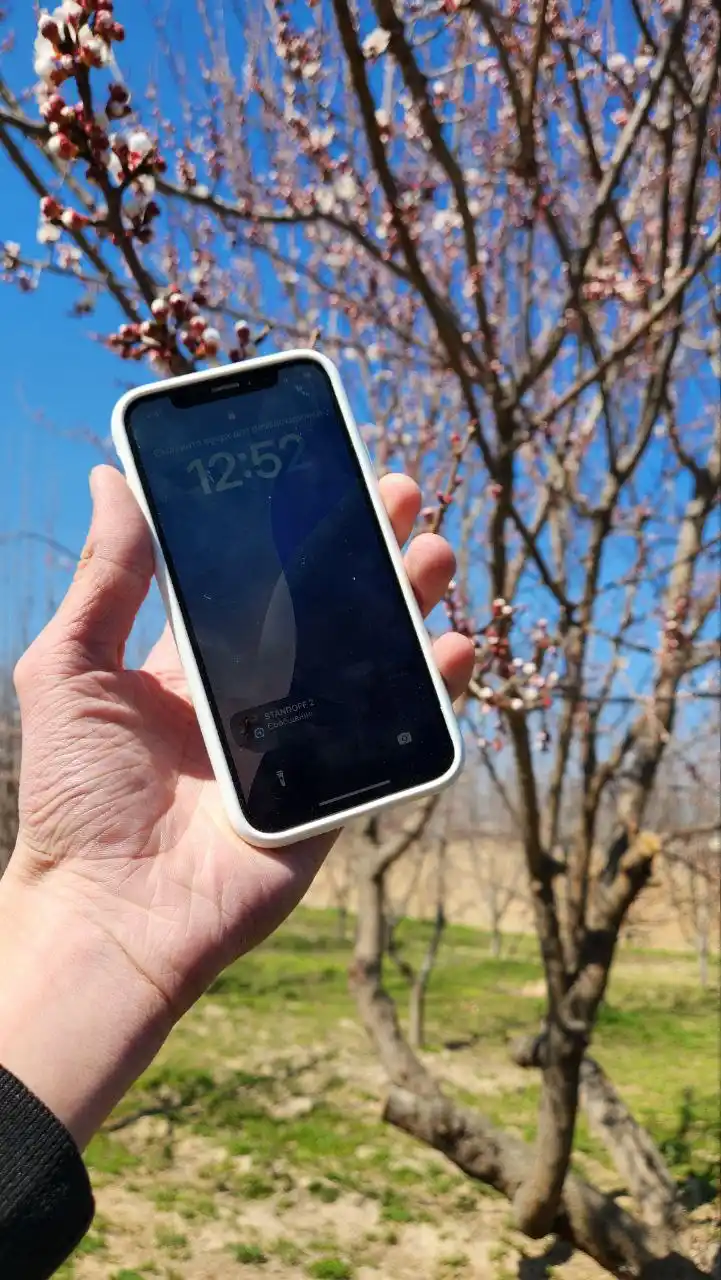 Чехол на iPhone XS/X, силиконовый
