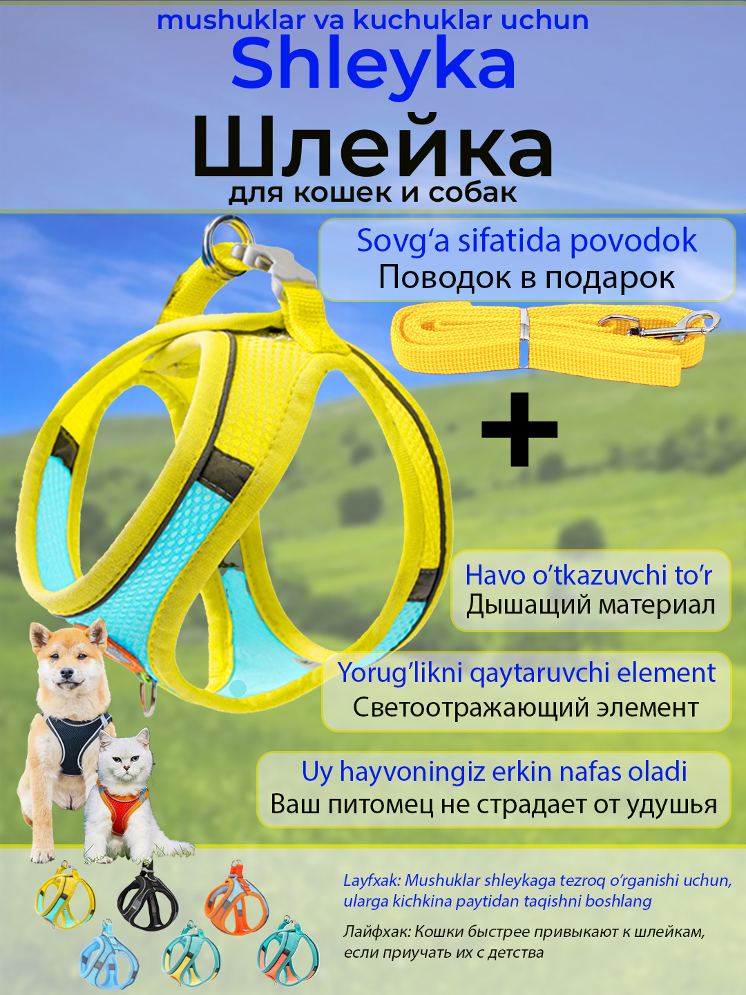 Erotika paypoqli qiz Fucked All ni onlayn tomosha qiling