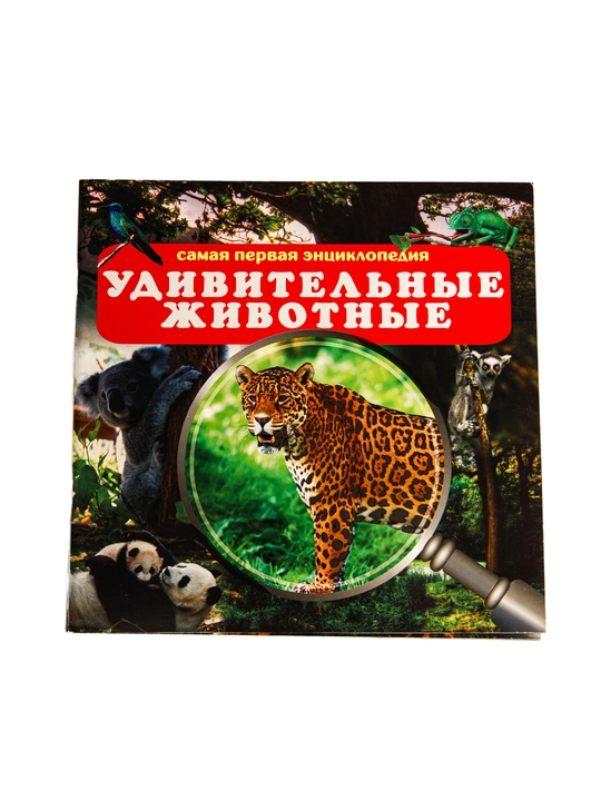 Энциклопедия для детей - 
