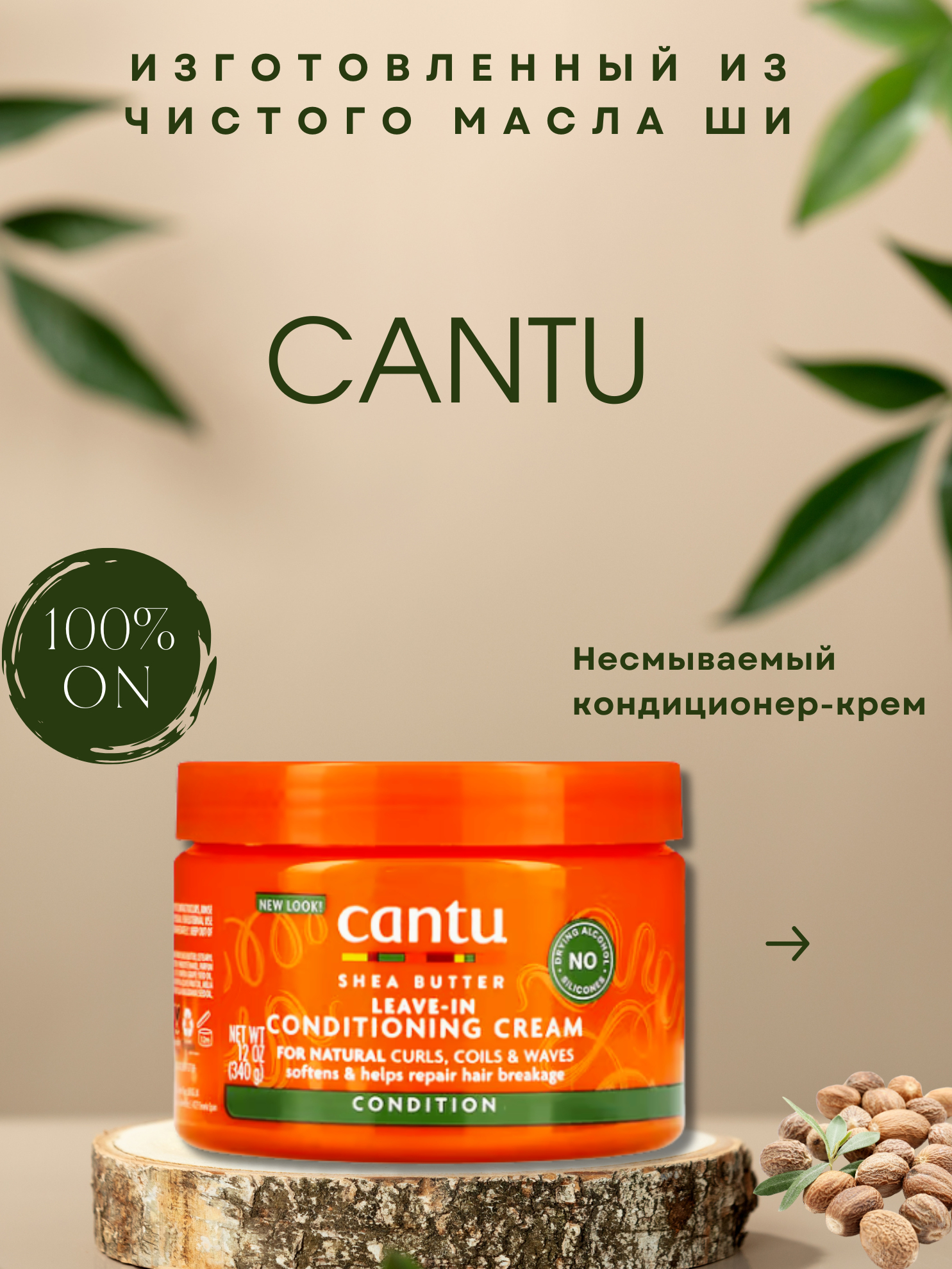 Tibbiyot talabalari porno video