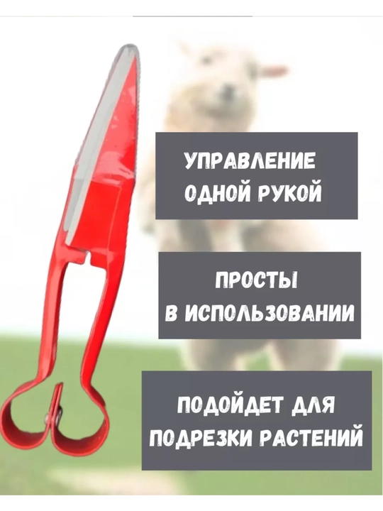 Ножницы для стрижки овец и баранов