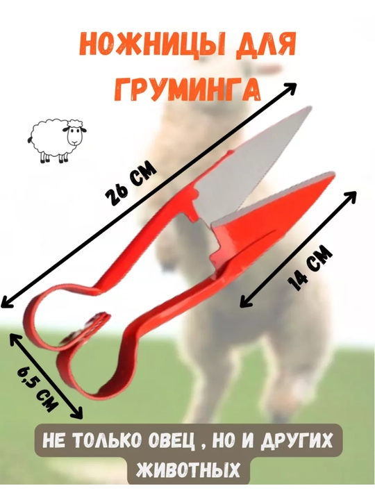 Ножницы для стрижки овец и баранов
