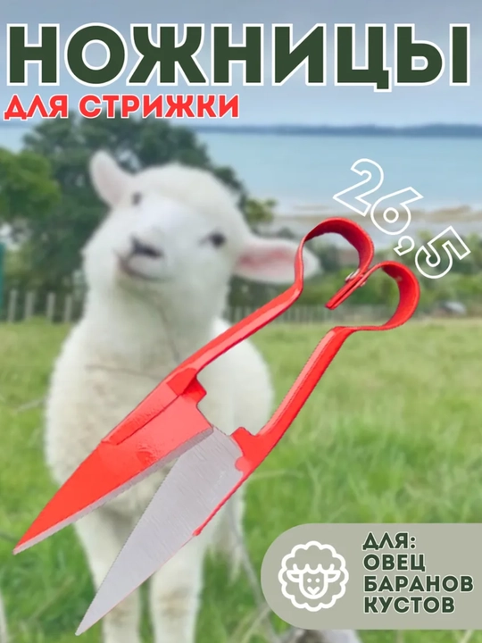 Ножницы для стрижки овец и баранов - 