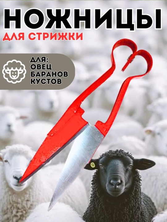 Ножницы для стрижки овец и баранов