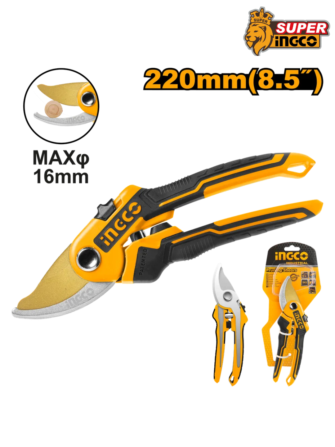 Daryo boyida tukli mushuk bilan yalangoch qiz