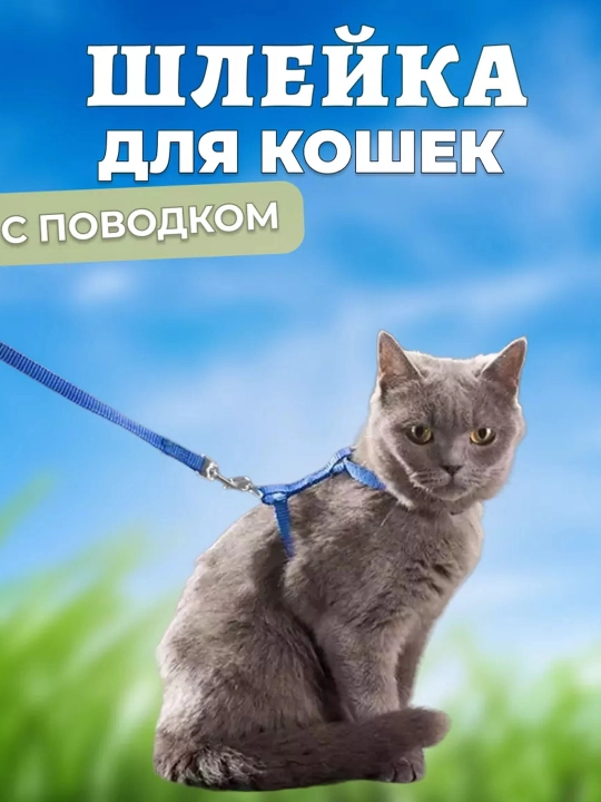 Шлейка для кошек