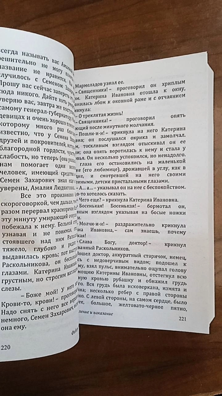Prestupleniye i nakazaniye Dostoyevskiy Fedor Mikhaylovich 