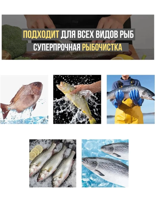 Рыбочистка от чешуи рыбной, 23 см