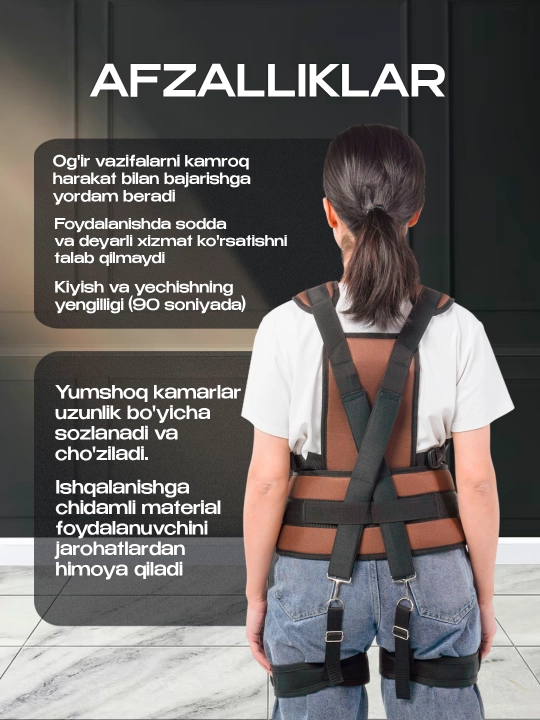 Yengillashtirilgan ekzoskelet, organaizer