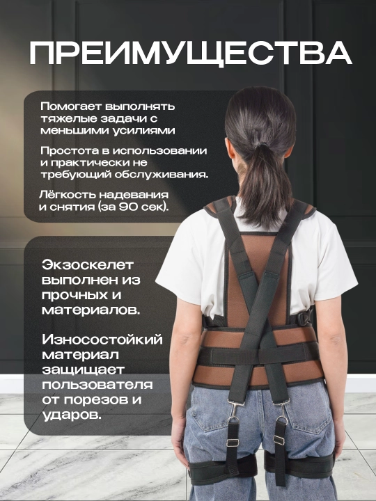 Yengillashtirilgan ekzoskelet, organaizer