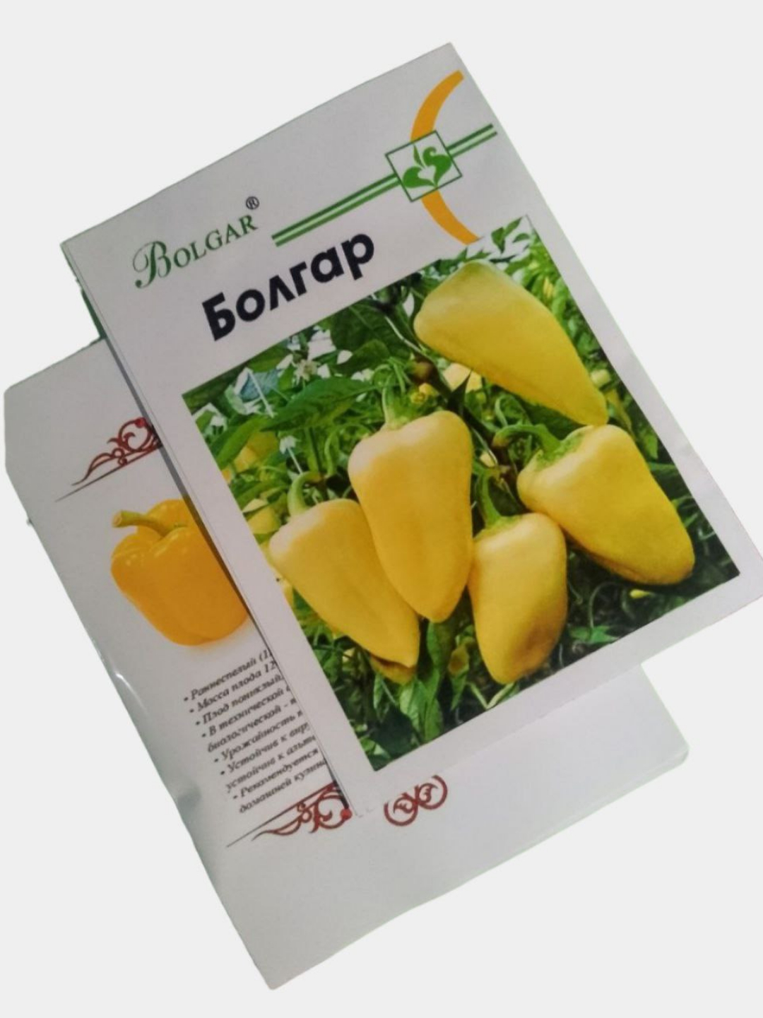 Yalangoch qirgiz ayol Oygul video Birinchi odamdan qattiq jinsiy aloqa