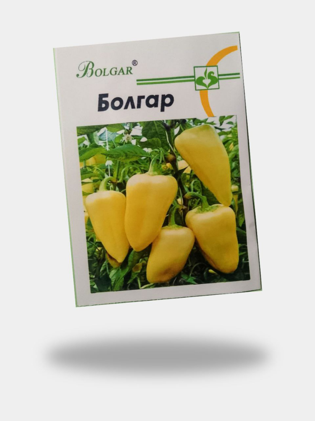 Sankt-Peterburgdagi juda eski fohishalar